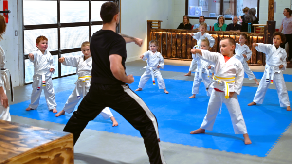 Junior Karate - Tues @ 6:45pm, 45m - Image 2