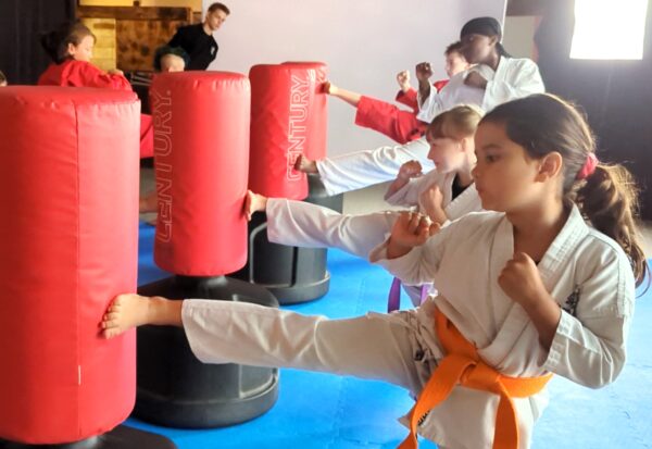 Jr & Int Karate - Tue @ 6:30pm, 30m