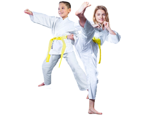 Jr & Int Karate - Tues @ 5:00pm, 45m